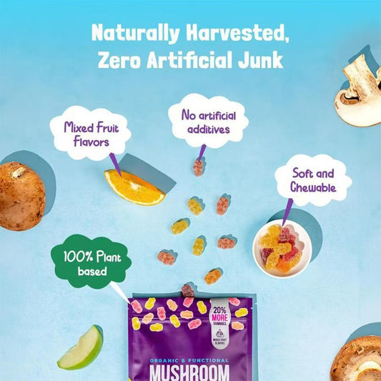 Mushroom Fudge Various Flavors 80 MushroomGummy