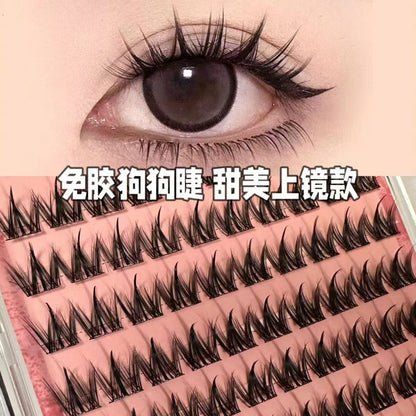 4890169070169